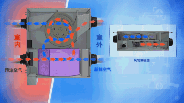 微信圖片_20200304142835.gif