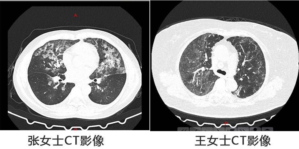 圖片1.jpg