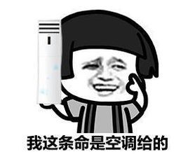 微信圖片_20200604090844.jpg